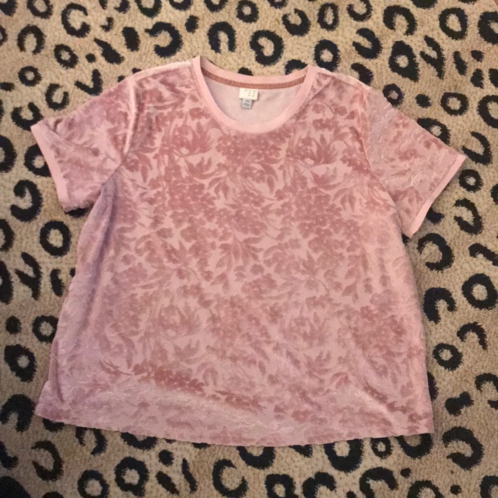 a new day Pink Short Sleeve Burnout Velvet Tee